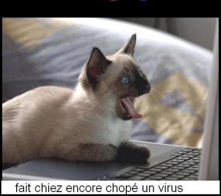 tro fort